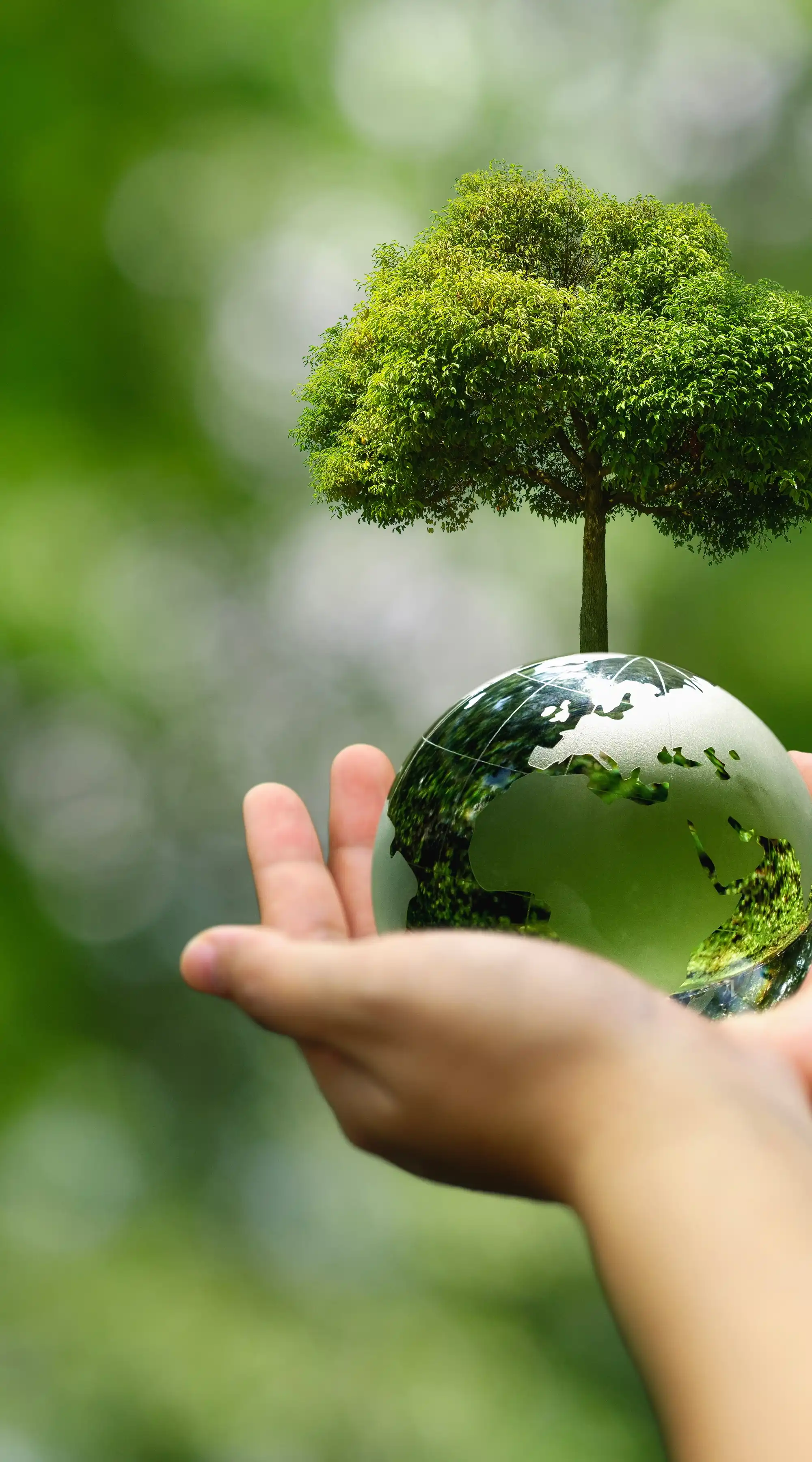Sustainability
